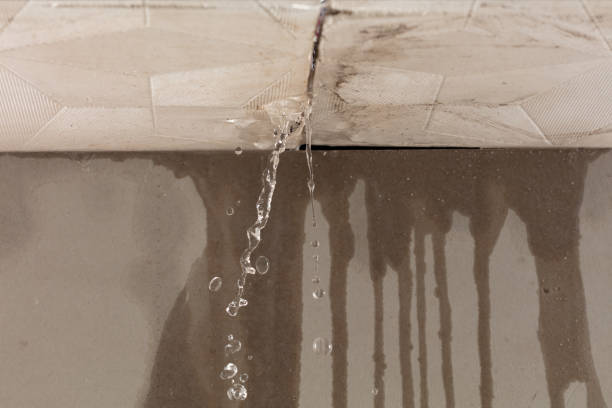 Professional Flood Damage Cleanup technician working in Ross, CA